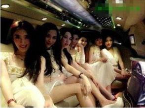 中小学性爱派对直播,性爱派对直播事件引发的深思