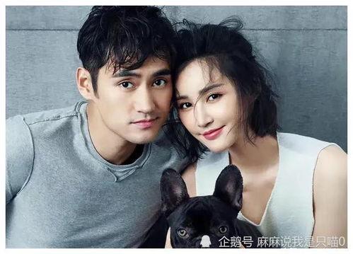 吃瓜明星娱乐圈百度云下载,揭秘热门下载背后的故事